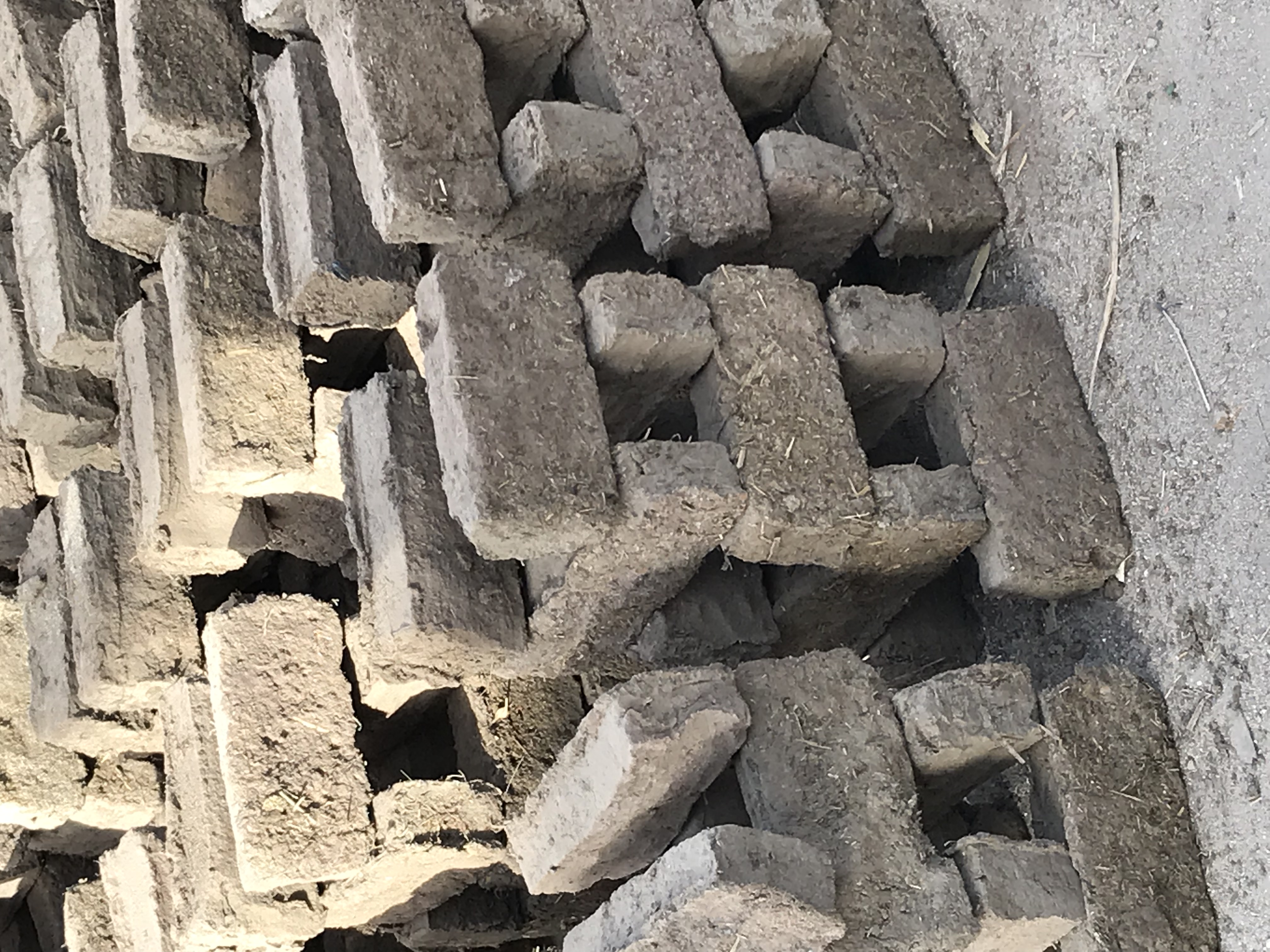 ./2018/16 - Egypt/07 - Esna/IMG_3060.jpg